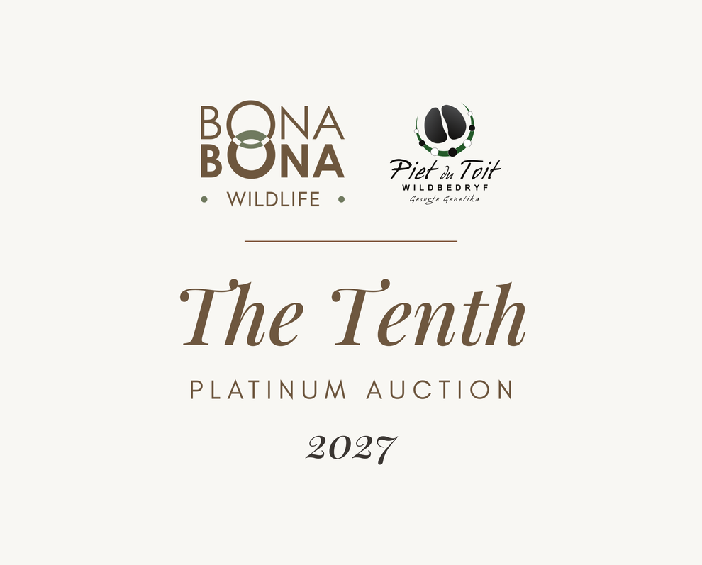 The Tenth Platinum Auction 2027 Wildswinkel 990x797